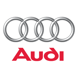 Audi Wreckers